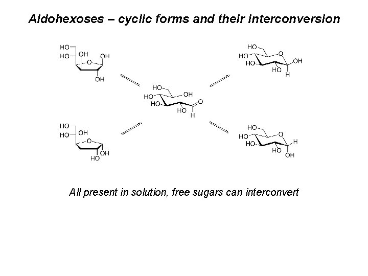 Aldohexoses – cyclic forms and their interconversion All present in solution, free sugars can