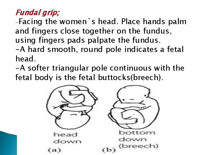 Fundal grip; -Facing the women`s head. Place hands palm and fingers close together on