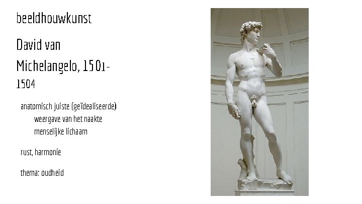 beeldhouwkunst David van Michelangelo, 15011504 anatomisch juiste (geïdealiseerde) weergave van het naakte menselijke lichaam