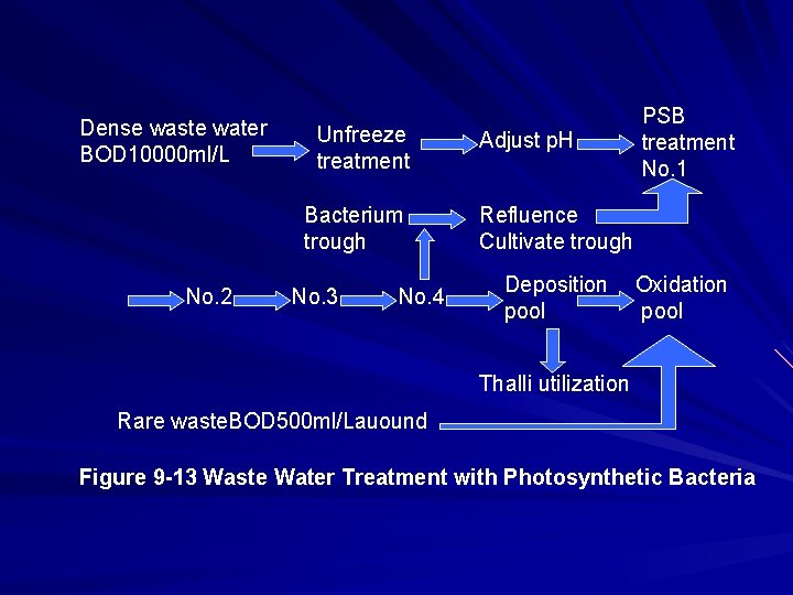 Dense waste water BOD 10000 ml/L Unfreeze treatment Bacterium trough No. 2 No. 3