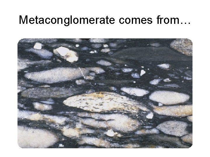 Metaconglomerate comes from… 