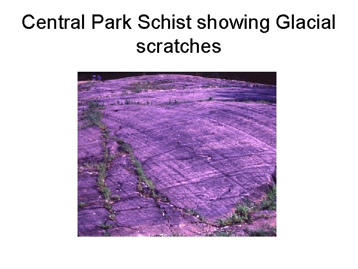 Central Park Schist showing Glacial scratches 