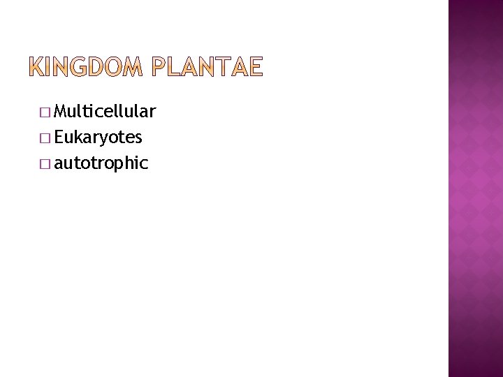 � Multicellular � Eukaryotes � autotrophic 