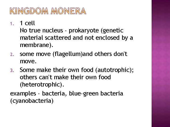 1 cell No true nucleus - prokaryote (genetic material scattered and not enclosed by