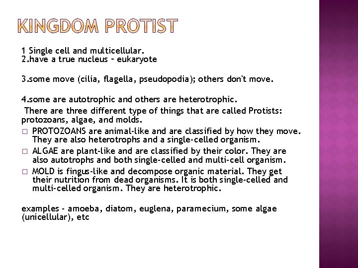 1 Single cell and multicellular. 2. have a true nucleus – eukaryote 3. some
