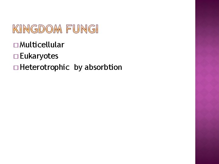 � Multicellular � Eukaryotes � Heterotrophic by absorbtion 