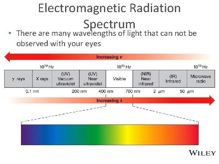 Electromagnetic Radiation Spectrum • There are many wavelengths of light that can not be
