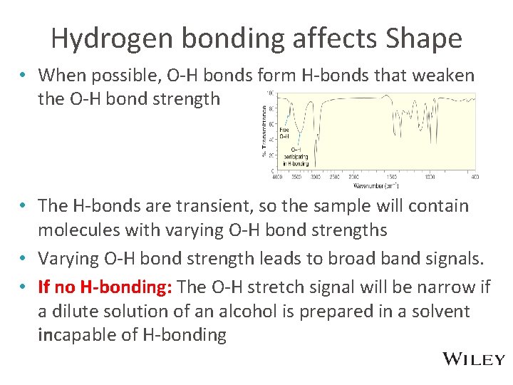 Hydrogen bonding affects Shape • When possible, O-H bonds form H-bonds that weaken the