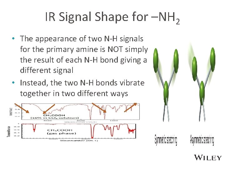 IR Signal Shape for –NH 2 • The appearance of two N-H signals for