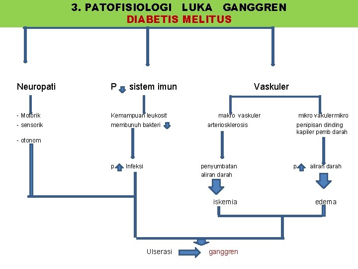 3. PATOFISIOLOGI LUKA GANGGREN DIABETIS MELITUS Neuropati P sistem imun - Motorik Kemampuan leukosit