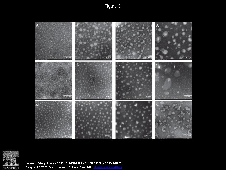 Figure 3 Journal of Dairy Science 2018 1019680 -9692 DOI: (10. 3168/jds. 2018 -14998)