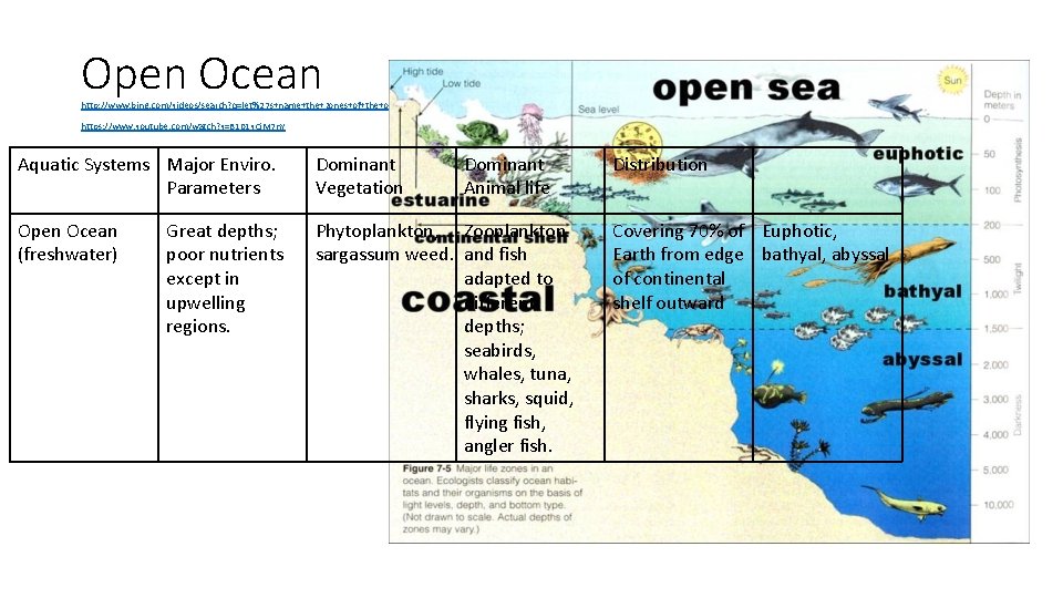 Open Ocean http: //www. bing. com/videos/search? q=let%27 s+name+the+zones+of+the+open+sea+song&FORM=HDRSC 3#view=detail&mid=7 B 1 CF 524546 FAD