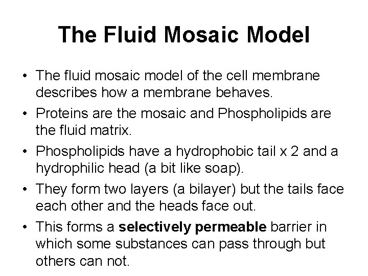 The Fluid Mosaic Model • The fluid mosaic model of the cell membrane describes