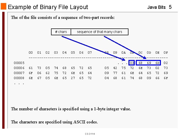 Example of Binary File Layout Java Bits 5 The of the file consists of