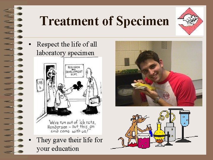 Treatment of Specimen • Respect the life of all laboratory specimen • They gave