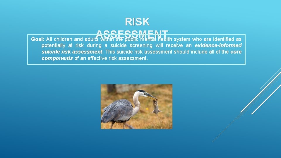 RISK ASSESSMENT Goal: All children and adults within the public mental health system who