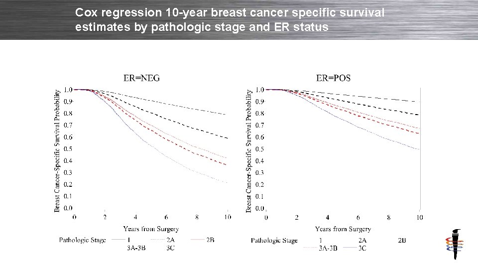 Cox regression 10 -year breast cancer specific survival estimates by pathologic stage and ER
