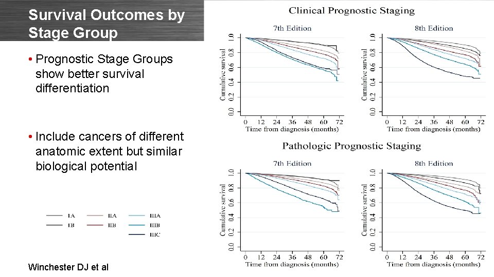 Survival Outcomes by Stage Group • Prognostic Stage Groups show better survival differentiation •