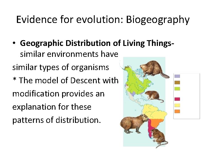 Evidence for evolution: Biogeography • Geographic Distribution of Living Thingssimilar environments have similar types