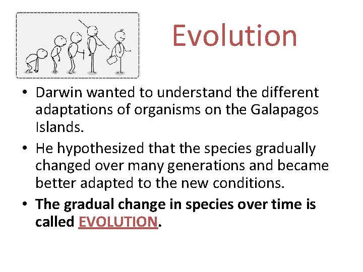 Evolution • Darwin wanted to understand the different adaptations of organisms on the Galapagos