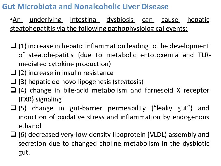 Gut Microbiota and Nonalcoholic Liver Disease • An underlying intestinal dysbiosis can cause hepatic