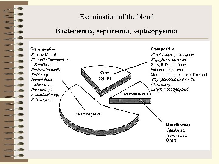 Examination of the blood Bacteriemia, septicopyemia 