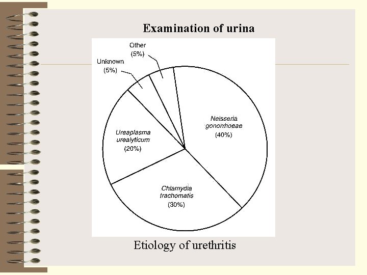 Examination of urina Etiology of urethritis 