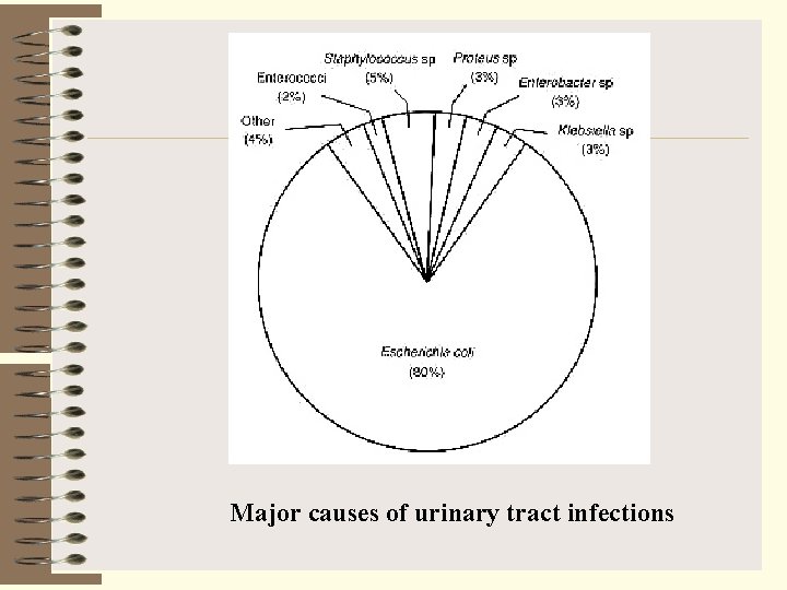 Major causes of urinary tract infections 