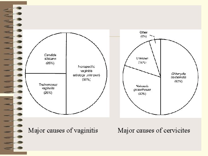 Major causes of vaginitis Major causes of cervicites 