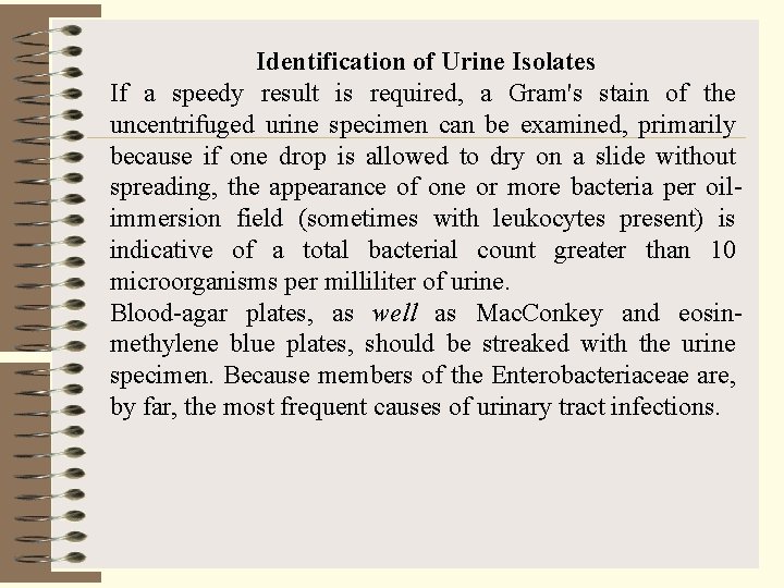 Identification of Urine Isolates If a speedy result is required, a Gram's stain of