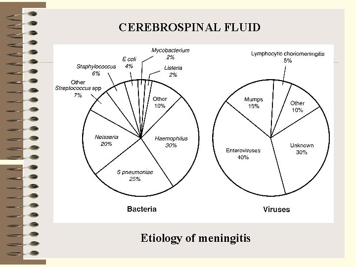 CEREBROSPINAL FLUID Etiology of meningitis 