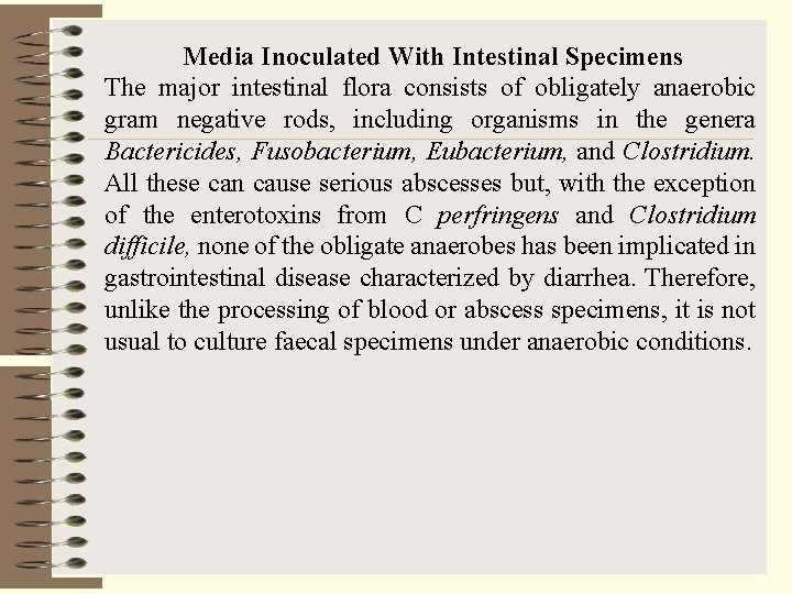 Media Inoculated With Intestinal Specimens The major intestinal flora consists of obligately anaerobic gram