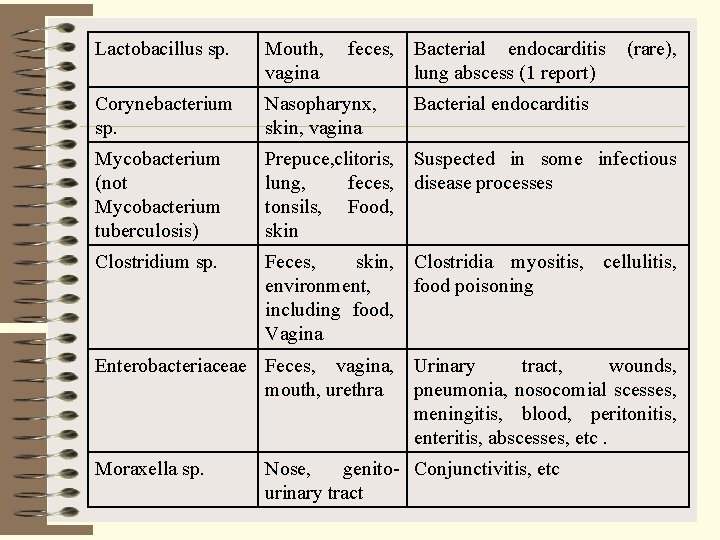 Lactobacillus sp. Mouth, vagina feces, Bacterial endocarditis lung abscess (1 report) (rare), Corynebacterium sp.