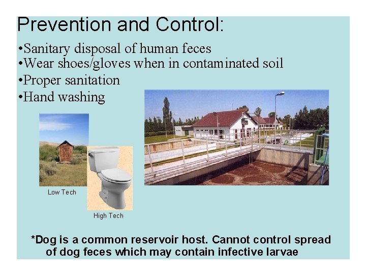 Prevention and Control: • Sanitary disposal of human feces • Wear shoes/gloves when in