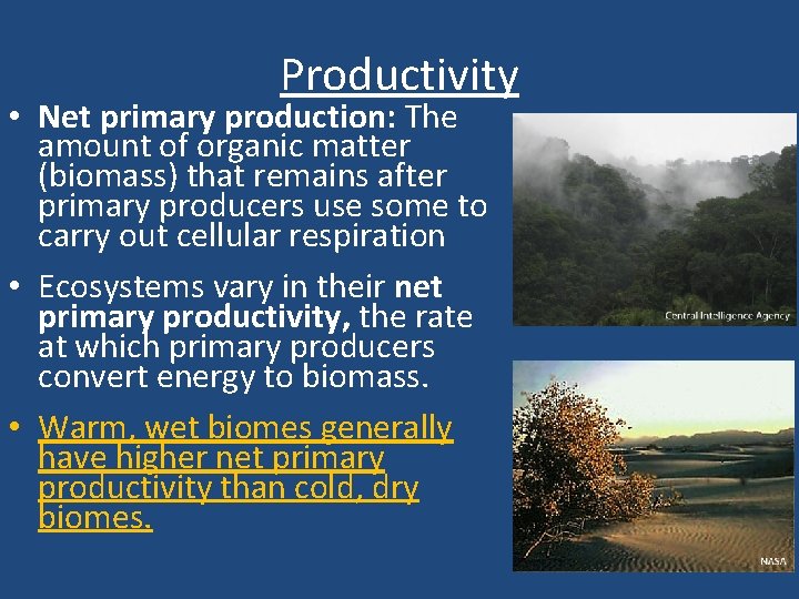 Productivity • Net primary production: The amount of organic matter (biomass) that remains after
