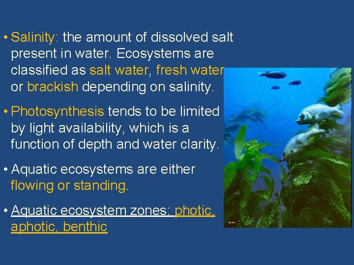  • Salinity: the amount of dissolved salt present in water. Ecosystems are classified