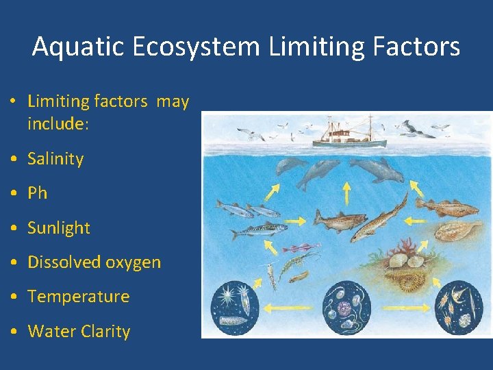 Aquatic Ecosystem Limiting Factors • Limiting factors may include: • Salinity • Ph •