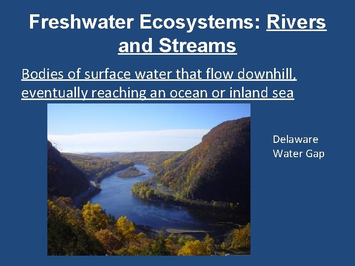 Freshwater Ecosystems: Rivers and Streams Bodies of surface water that flow downhill, eventually reaching