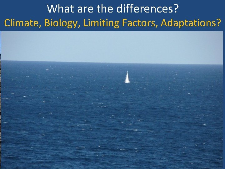 What are the differences? Climate, Biology, Limiting Factors, Adaptations? 