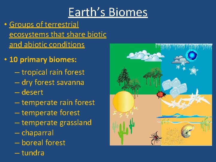 Earth’s Biomes • Groups of terrestrial ecosystems that share biotic and abiotic conditions •