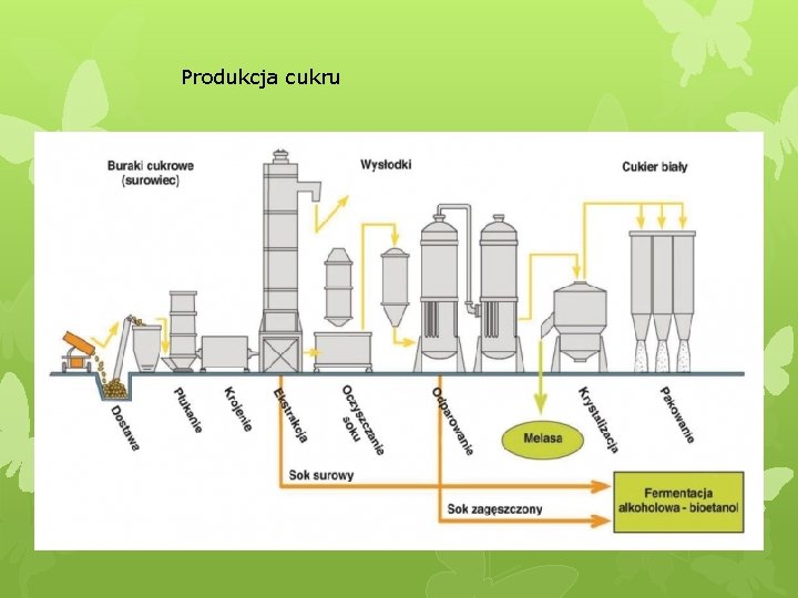 Produkcja cukru 