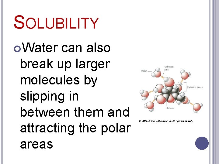 SOLUBILITY Water can also break up larger molecules by slipping in between them and