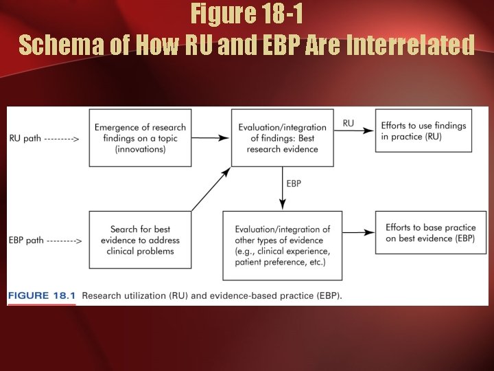 Figure 18 -1 Schema of How RU and EBP Are Interrelated 