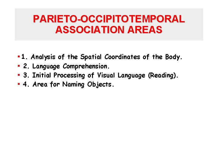 PARIETO-OCCIPITOTEMPORAL ASSOCIATION AREAS § 1. Analysis of the Spatial Coordinates of the Body. §