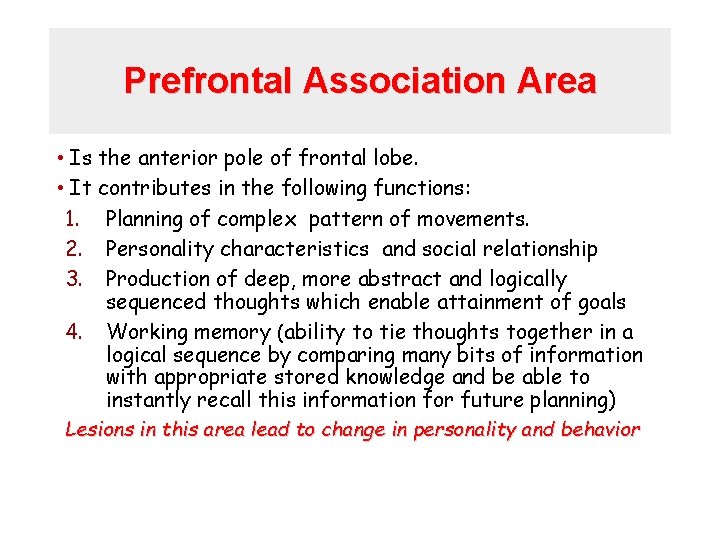 Prefrontal Association Area • Is the anterior pole of frontal lobe. • It contributes