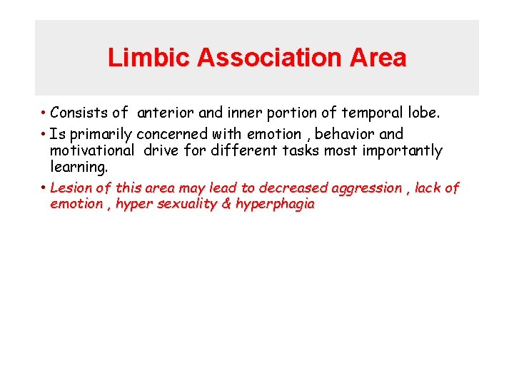 Limbic Association Area • Consists of anterior and inner portion of temporal lobe. •