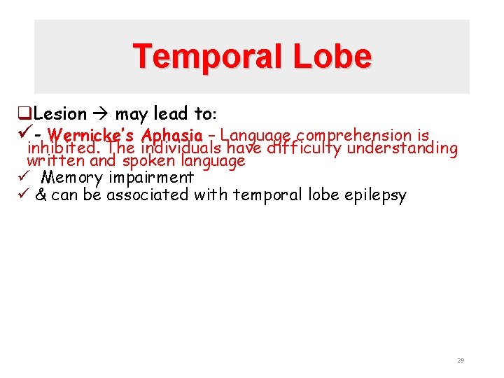 Temporal Lobe q. Lesion may lead to: ü- Wernicke’s Aphasia – Language comprehension is