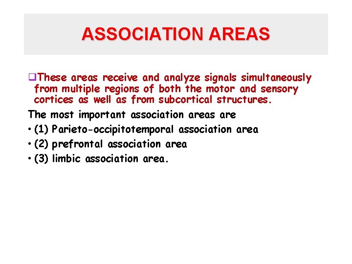 ASSOCIATION AREAS q. These areas receive and analyze signals simultaneously from multiple regions of