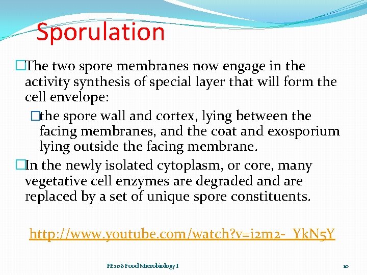 Sporulation �The two spore membranes now engage in the activity synthesis of special layer
