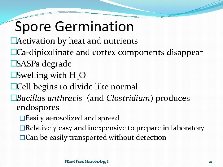 Spore Germination �Activation by heat and nutrients �Ca-dipicolinate and cortex components disappear �SASPs degrade